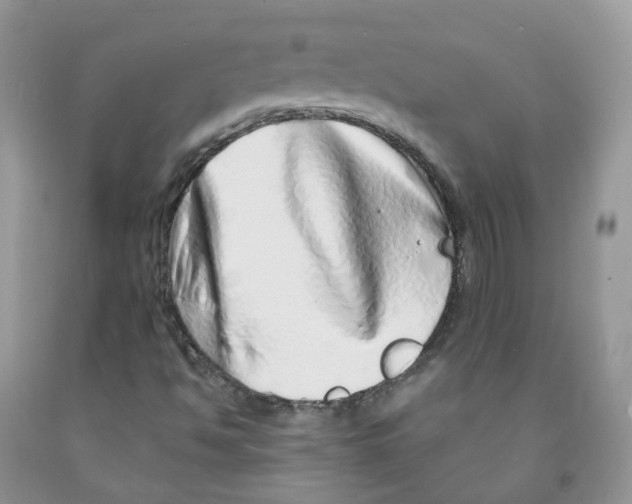 X0000091311494200709071103