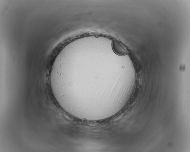 X0000091311495200709071103