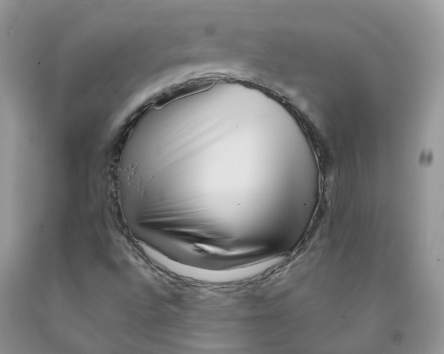 X0000091311496200709071103