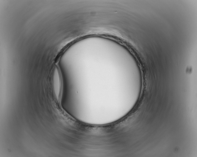 X0000091311497200709071103