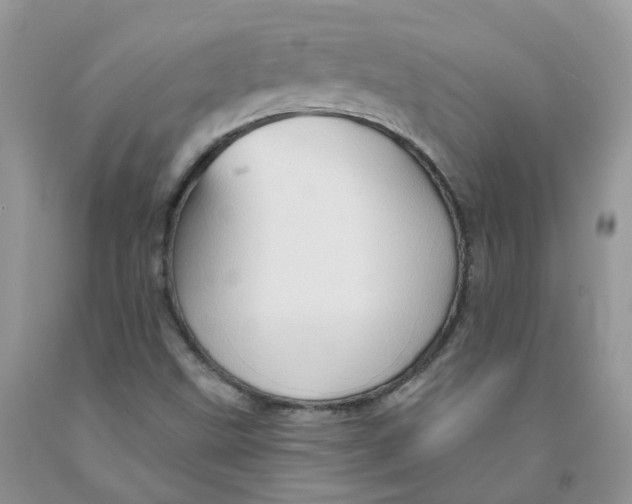 X0000091311499200709071103