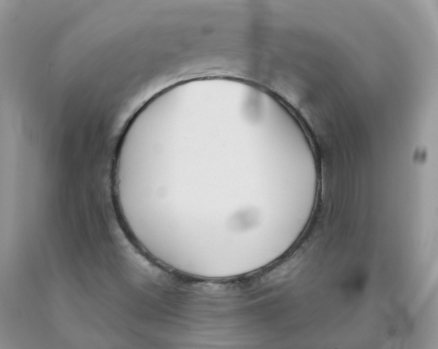 X0000091311500200709071103