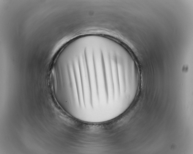 X0000091311501200709071103