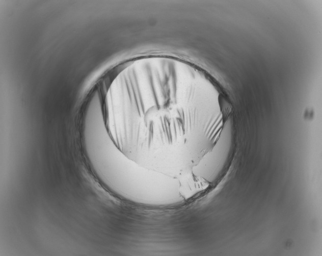 X0000091311502200709071103