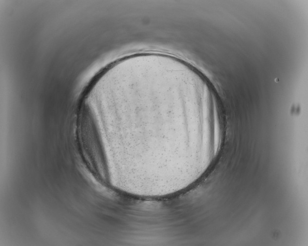 X0000091311503200709071103