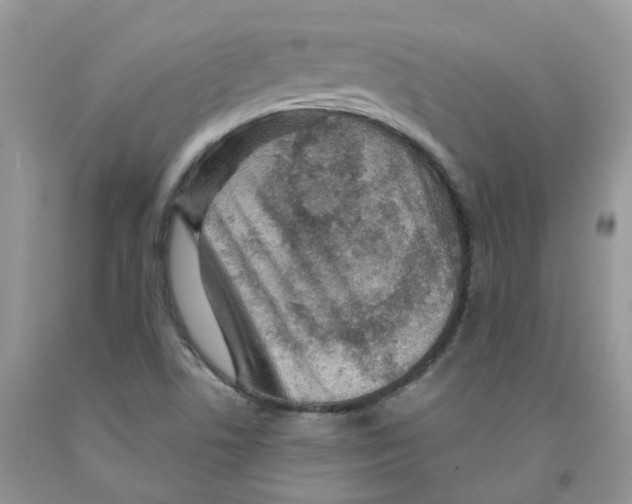 X0000091311506200709071103