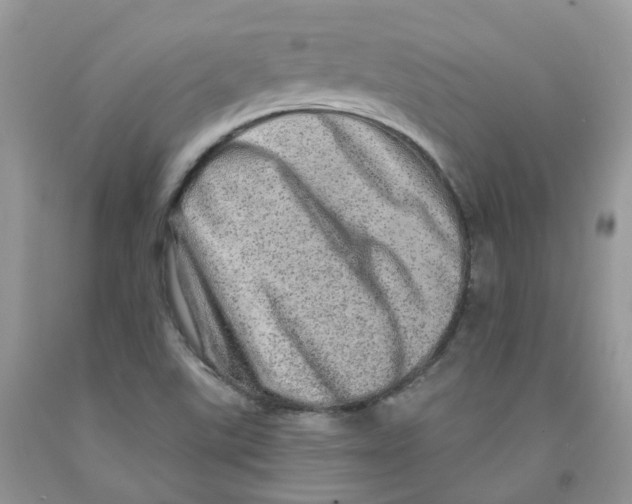 X0000091311507200709071103