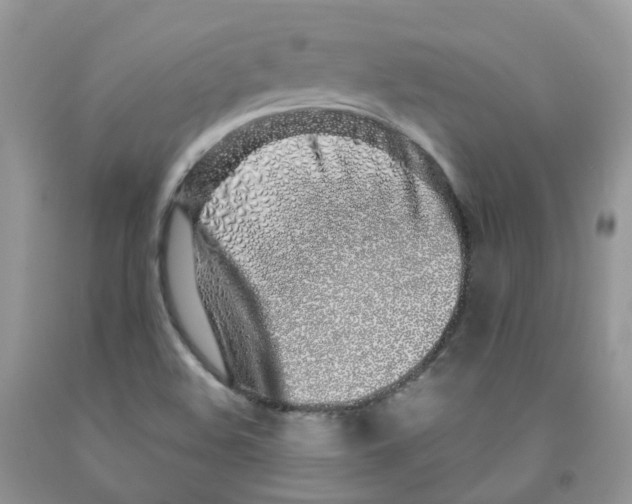 X0000091311508200709071103