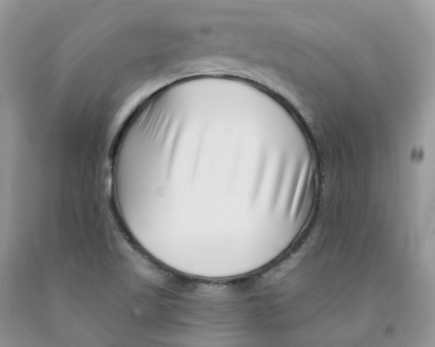 X0000091311509200709071103