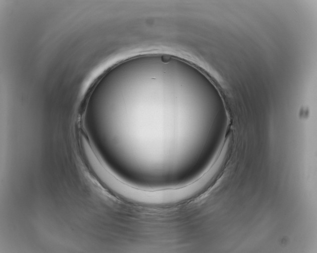 X0000091311510200709071103