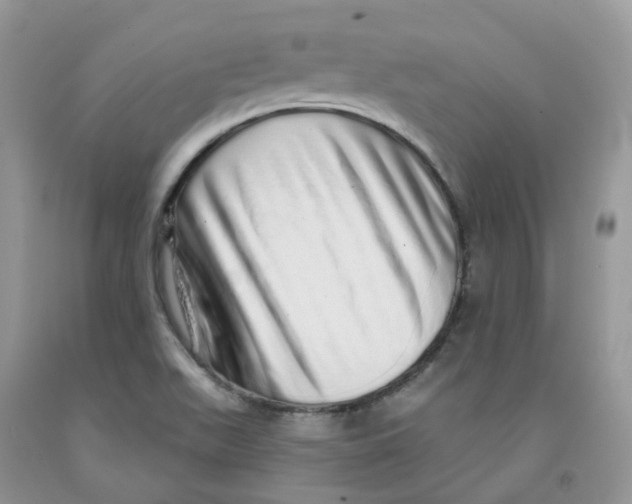 X0000091311511200709071103