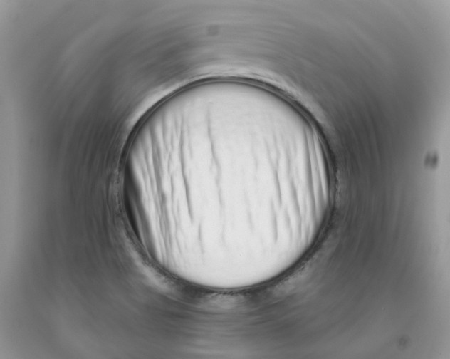 X0000091311513200709071103