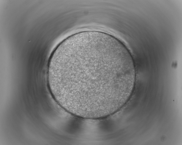 X0000091311514200709071103