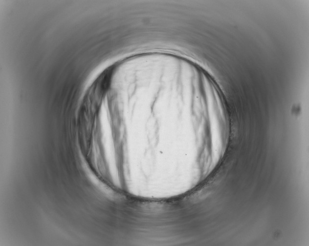 X0000091311515200709071103