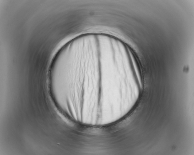 X0000091311517200709071103