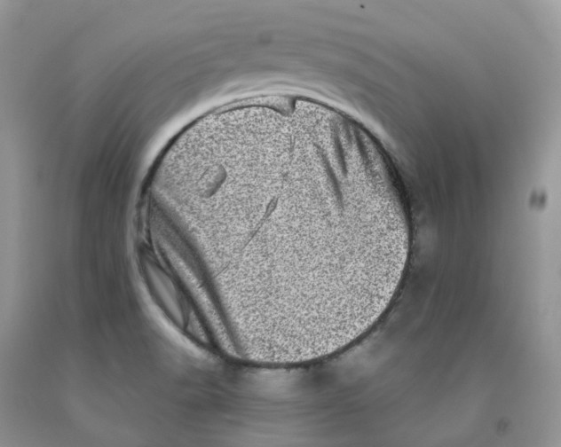 X0000091311518200709071103