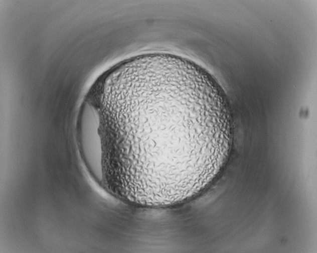 X0000091311519200709071103