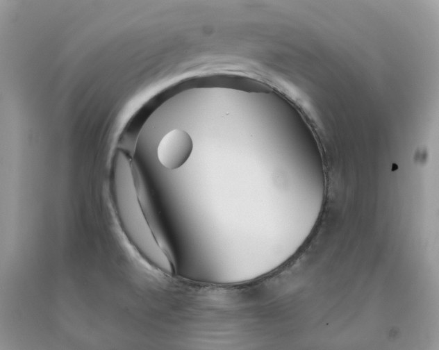 X0000091311520200709071103