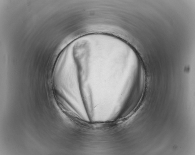 X0000091311521200709071103