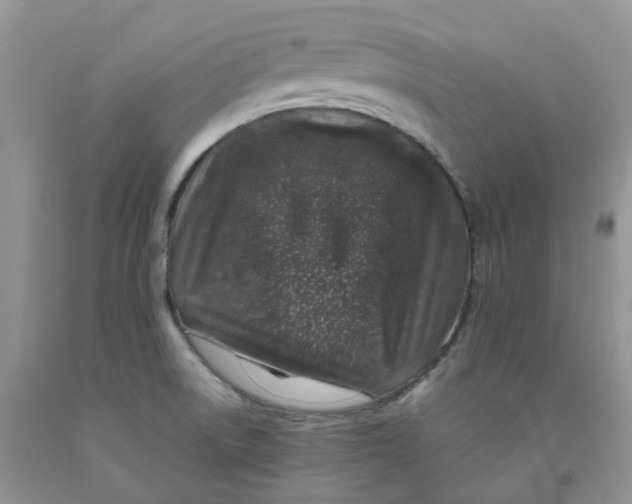 X0000091311522200709071103