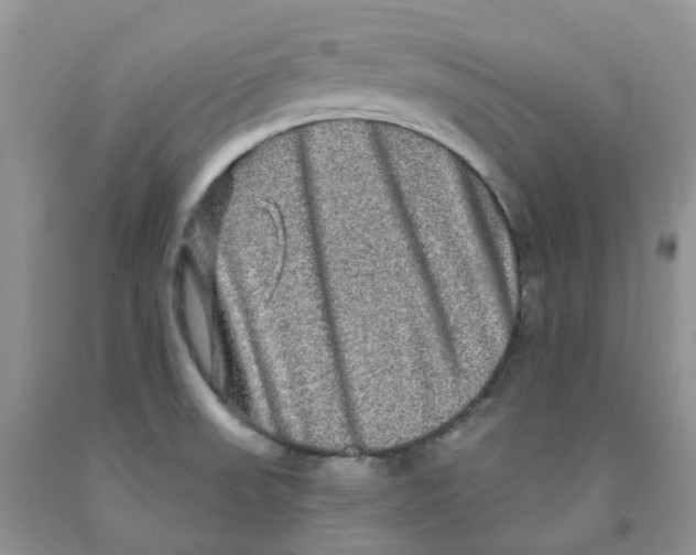 X0000091311523200709071103