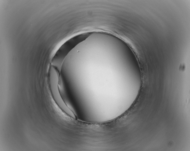 X0000091311524200709071103