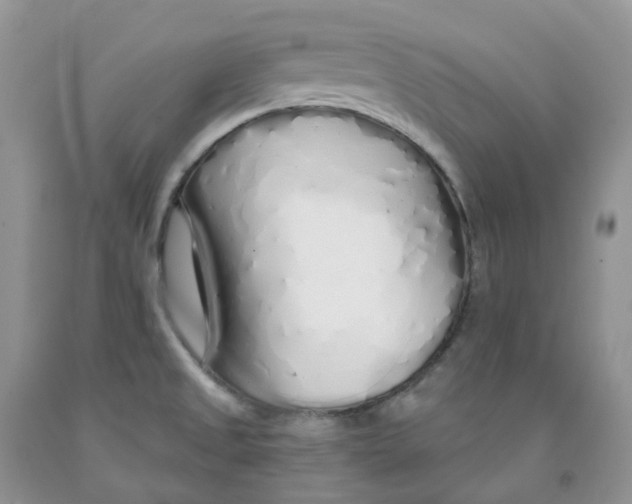 X0000091311525200709071103