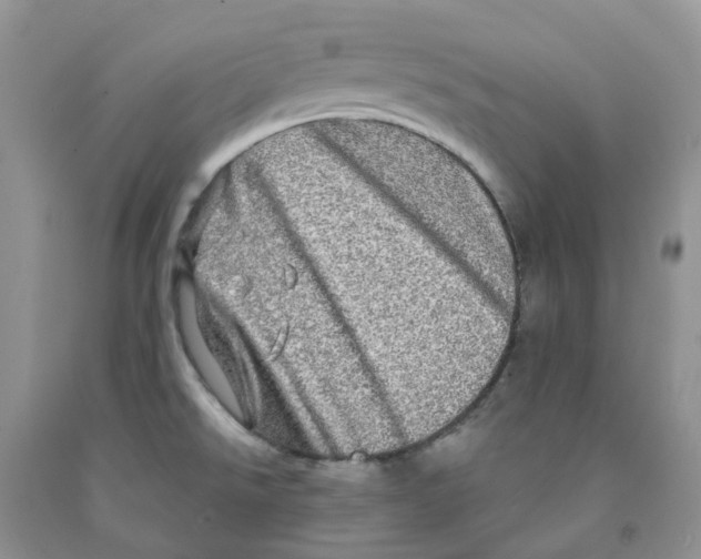 X0000091311526200709071103