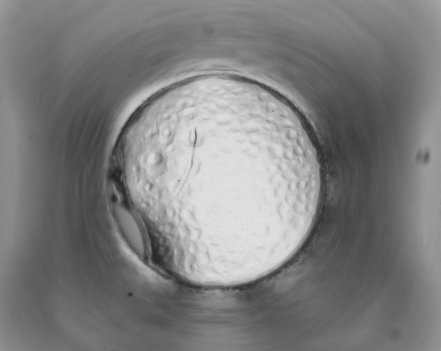 X0000091311527200709071103