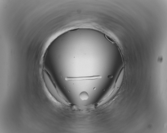 X0000091311528200709071103