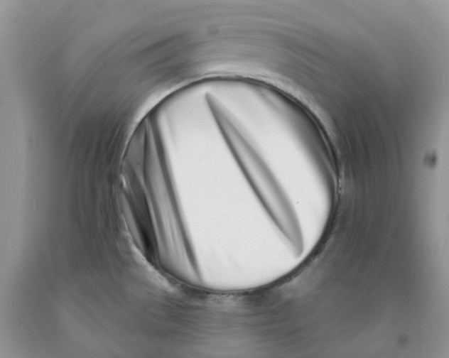 X0000091311529200709071103