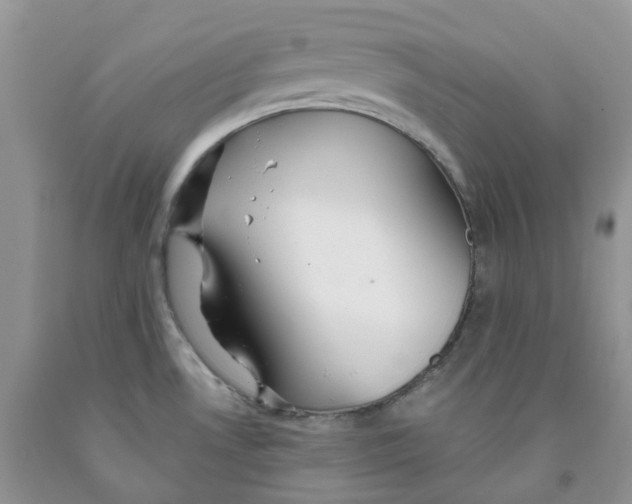 X0000091311530200709071103