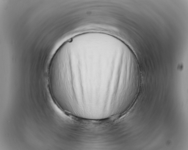 X0000091311531200709071103