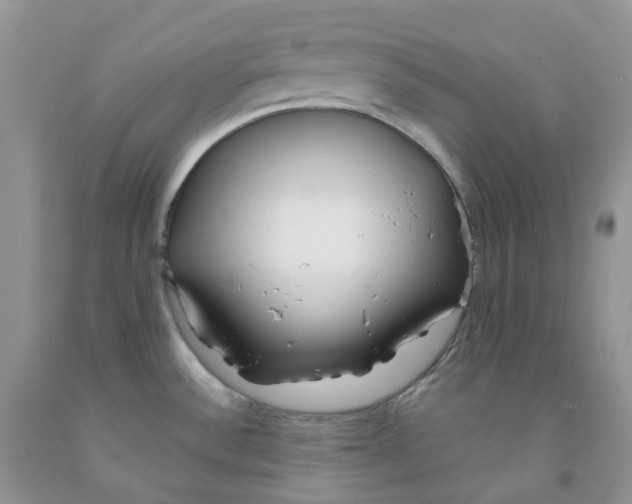 X0000091311532200709071103