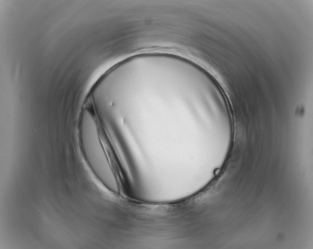 X0000091311533200709071103