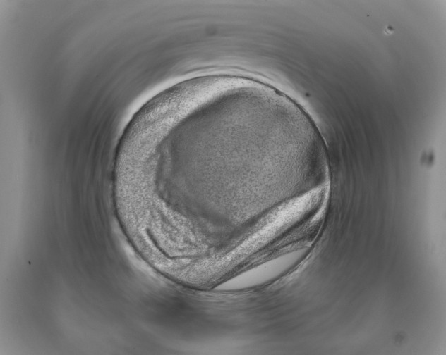 X0000091311534200709071103