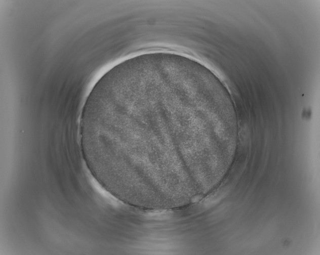 X0000091311535200709071103