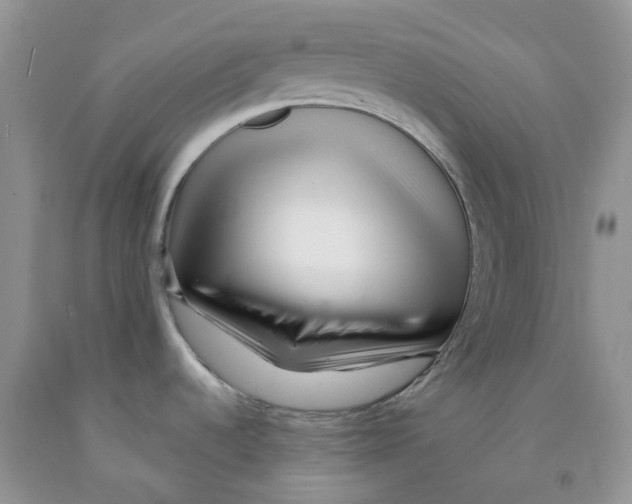 X0000091311536200709071103