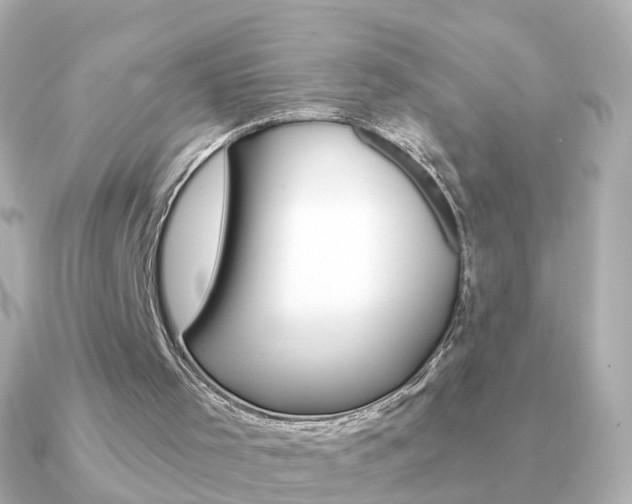 X0000091330001200708101010