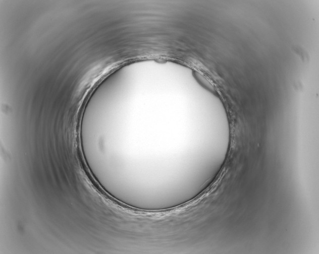 X0000091330002200708101010