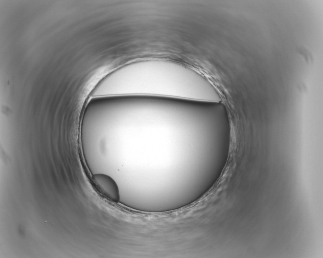 X0000091330003200708101010