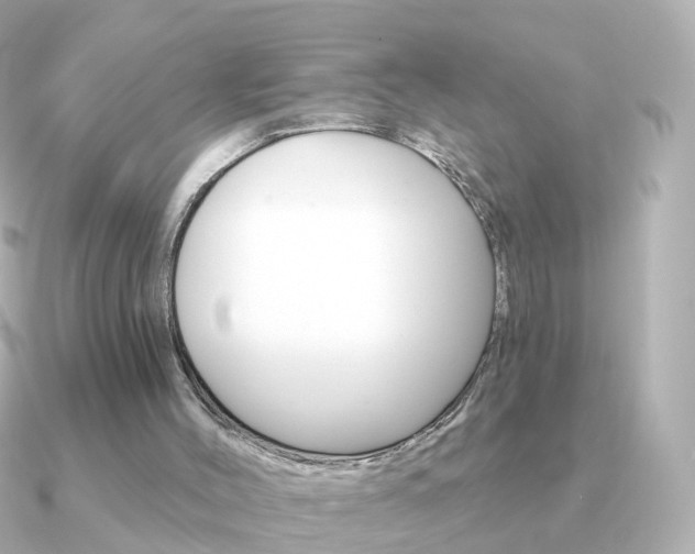 X0000091330004200708101010