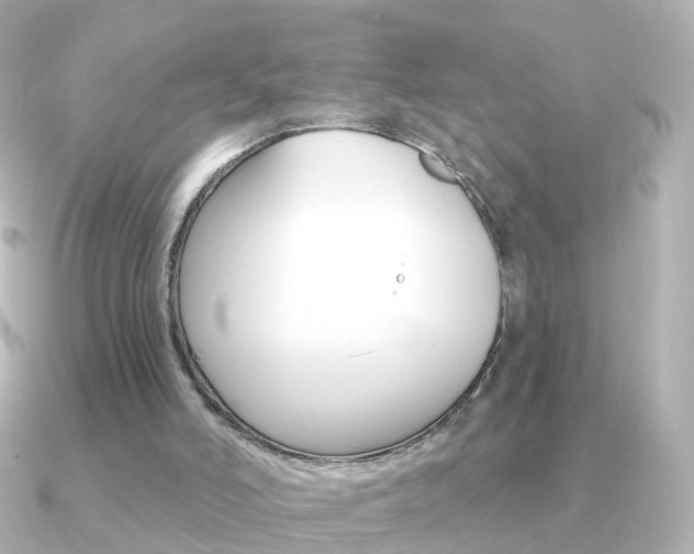 X0000091330006200708101010
