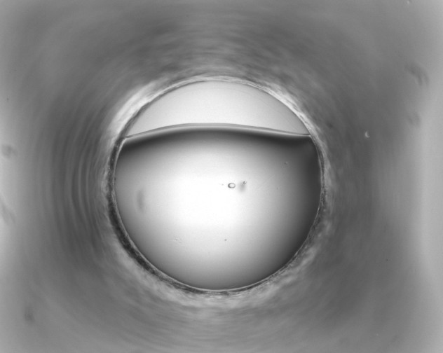 X0000091330007200708101010