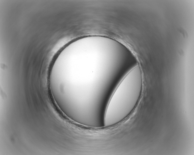 X0000091330008200708101010