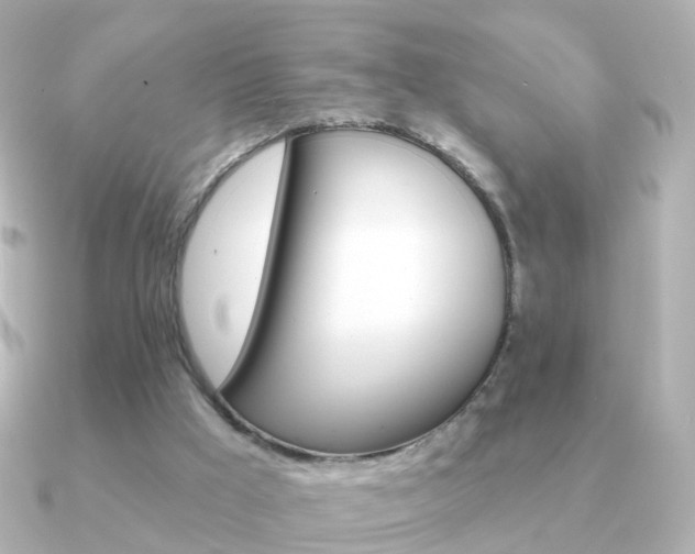 X0000091330009200708101010