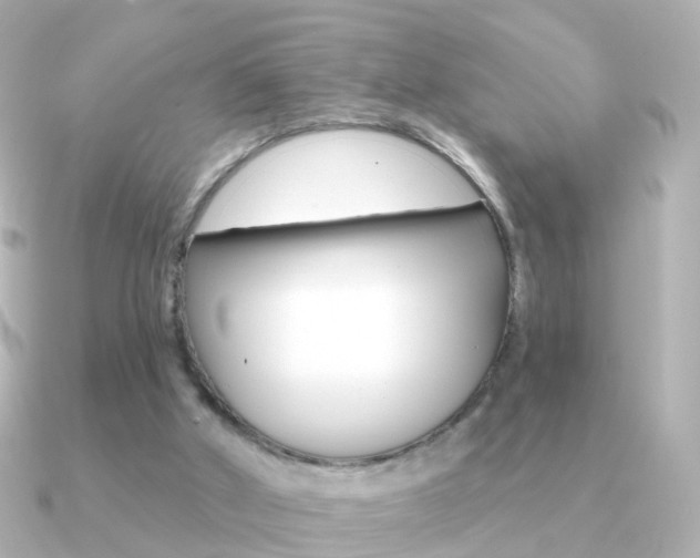 X0000091330010200708101010