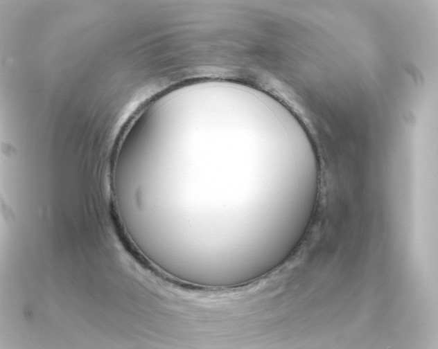 X0000091330011200708101010