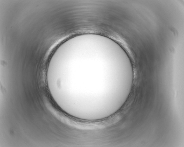 X0000091330012200708101010