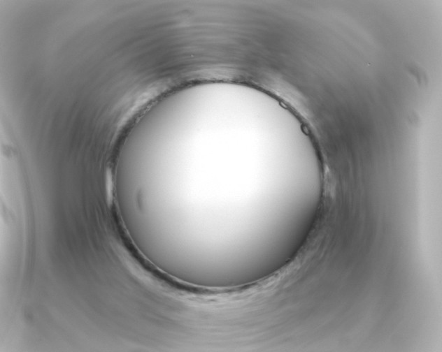 X0000091330013200708101010